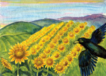 Sunflowers with crow