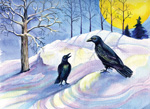 January crows